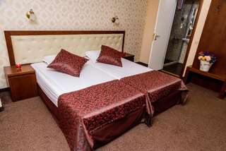 Отель SPA Hotel Medicus Выршец Двухместный номер с 1 кроватью или 2 отдельными кроватями без балкона-1